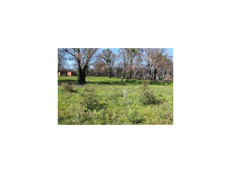 26 High Street, Dunalley TAS 7177