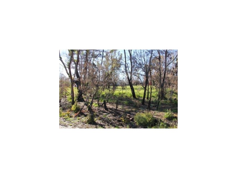 26 High Street, Dunalley TAS 7177