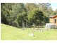 137 Pirates Bay Drive, Eaglehawk Neck TAS 7179