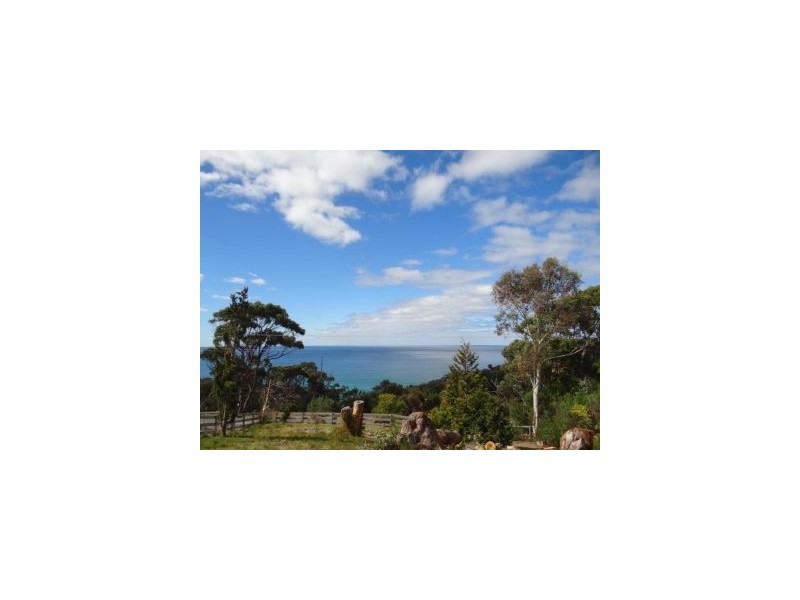 116a Blowhole Road, Eaglehawk Neck TAS 7179