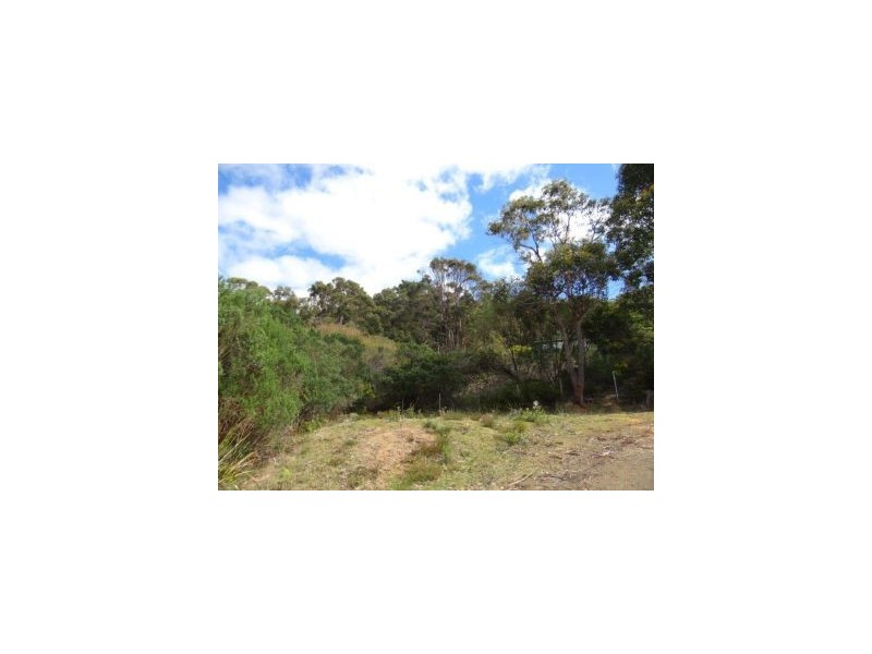 116a Blowhole Road, Eaglehawk Neck TAS 7179