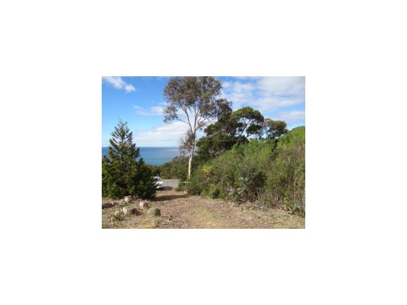 116a Blowhole Road, Eaglehawk Neck TAS 7179