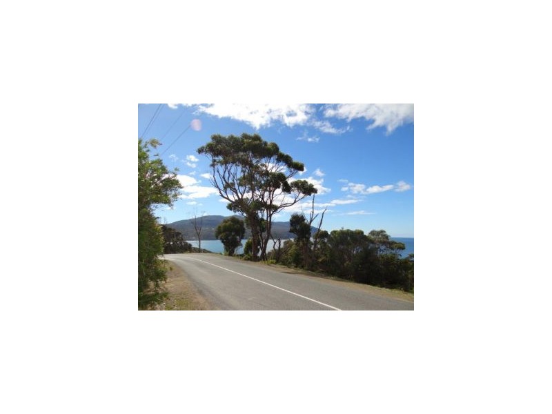 116a Blowhole Road, Eaglehawk Neck TAS 7179