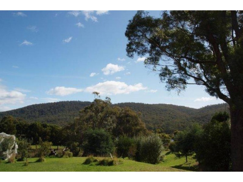 32 Ferntree Road, Eaglehawk Neck TAS 7179