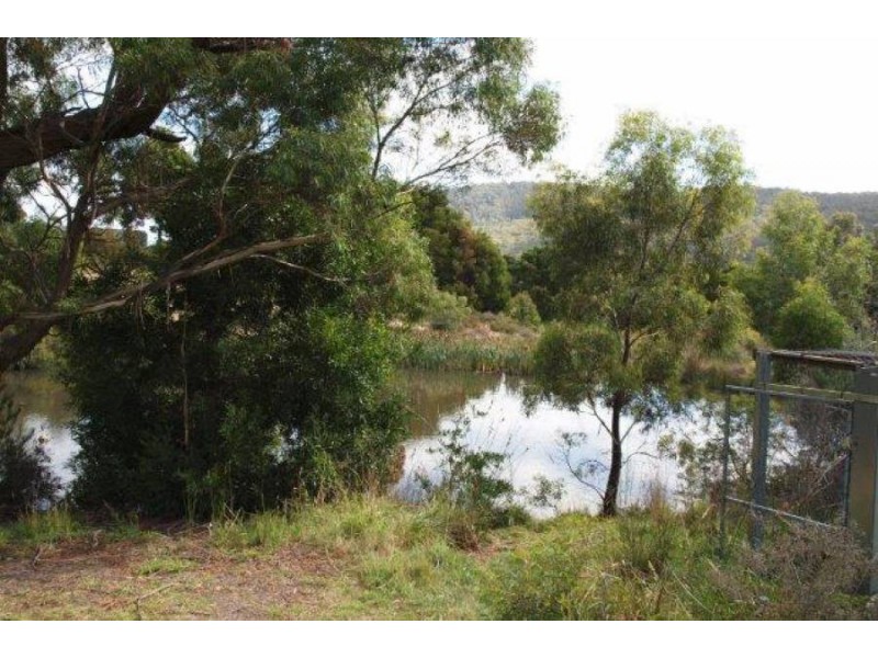 32 Ferntree Road, Eaglehawk Neck TAS 7179