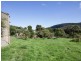 32 Ferntree Road, Eaglehawk Neck TAS 7179