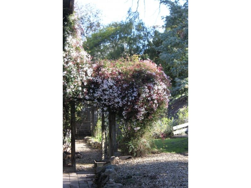 32 Native Corners Road, Campania TAS 7026