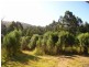 6800 Arthur Highway, Port Arthur TAS 7182
