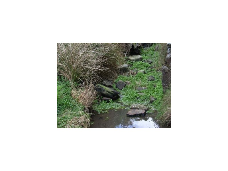 Lot 5 Pirates Bay Drive, Eaglehawk Neck TAS 7179