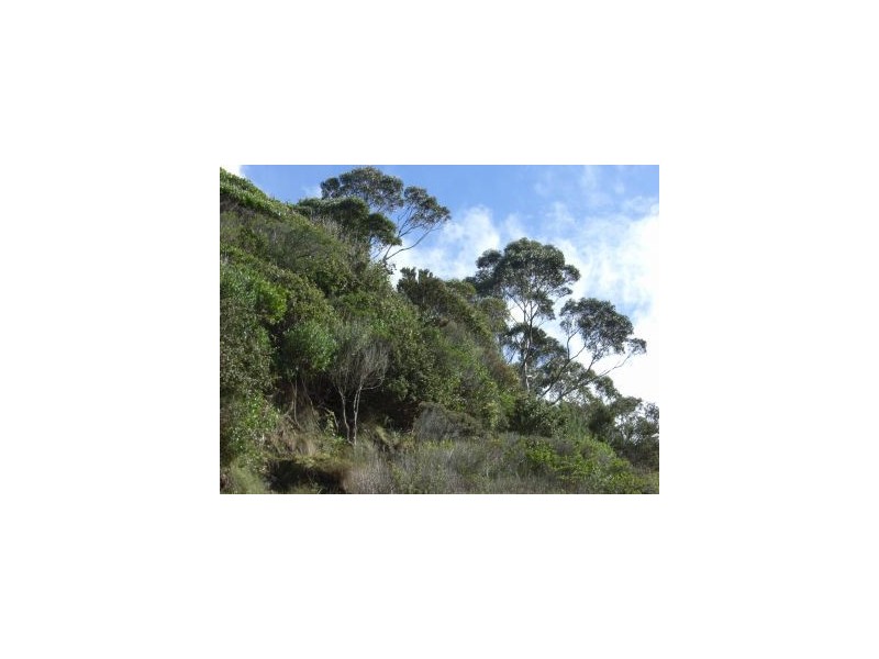 Lot 5 Pirates Bay Drive, Eaglehawk Neck TAS 7179