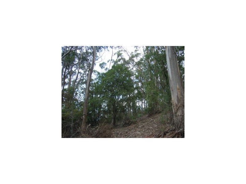 Lot 5 Pirates Bay Drive, Eaglehawk Neck TAS 7179
