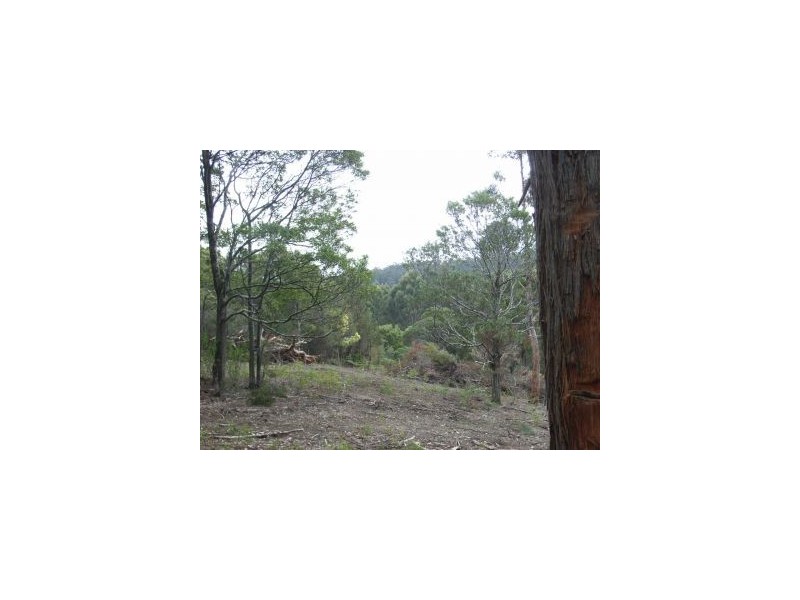 Lot 5 Pirates Bay Drive, Eaglehawk Neck TAS 7179