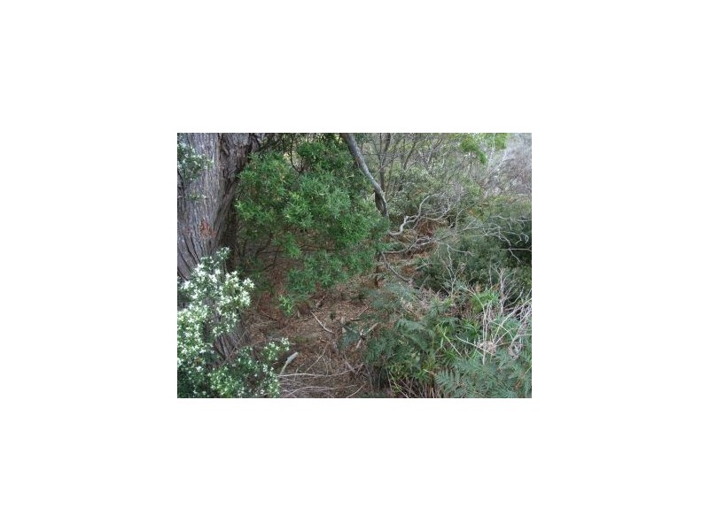 Lot 5 Pirates Bay Drive, Eaglehawk Neck TAS 7179