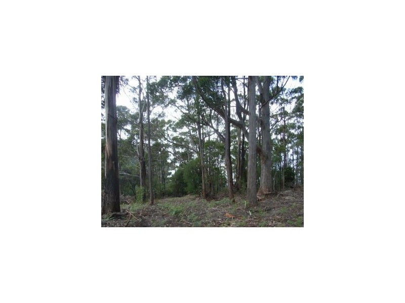 Lot 5 Pirates Bay Drive, Eaglehawk Neck TAS 7179