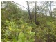 11 Elise Drive, Dodges Ferry TAS 7173