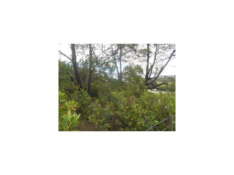 11 Elise Drive, Dodges Ferry TAS 7173