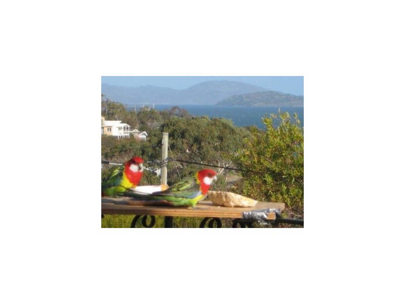 30 Myrica Street, Primrose Sands TAS 7173