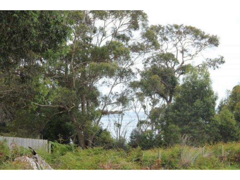 Lot 3 Prices Flat Road, Premaydena TAS 7185