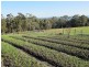 Lot 1 Nubeena Back Road, Koonya TAS 7187