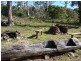 579 White Beach Road, White Beach TAS 7184