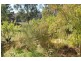 594a Rhyndaston Road, Rhyndaston TAS 7120