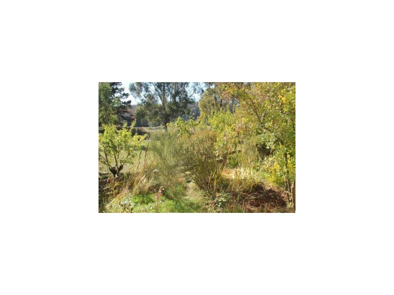 594a Rhyndaston Road, Rhyndaston TAS 7120