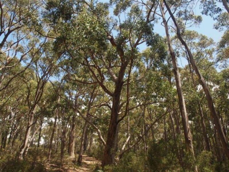 Lot 3/328 Blowhole Road, Eaglehawk Neck TAS 7179