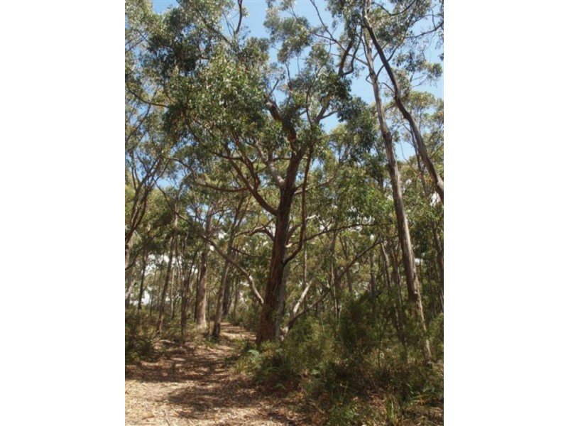 Lot 3/328 Blowhole Road, Eaglehawk Neck TAS 7179