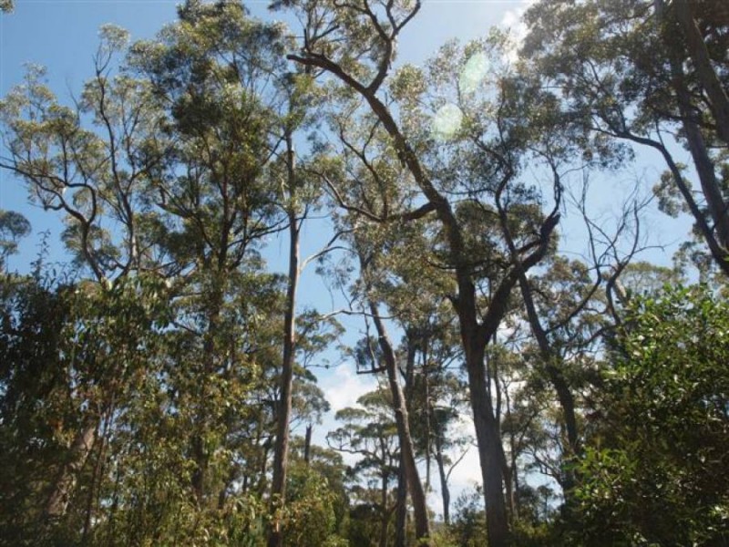 Lot 3/328 Blowhole Road, Eaglehawk Neck TAS 7179