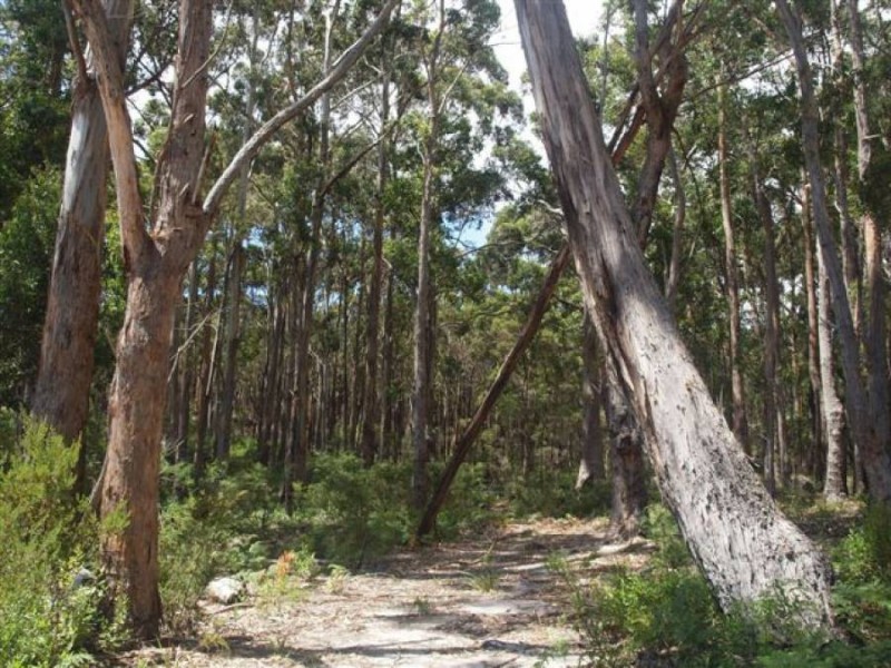 Lot 3/328 Blowhole Road, Eaglehawk Neck TAS 7179