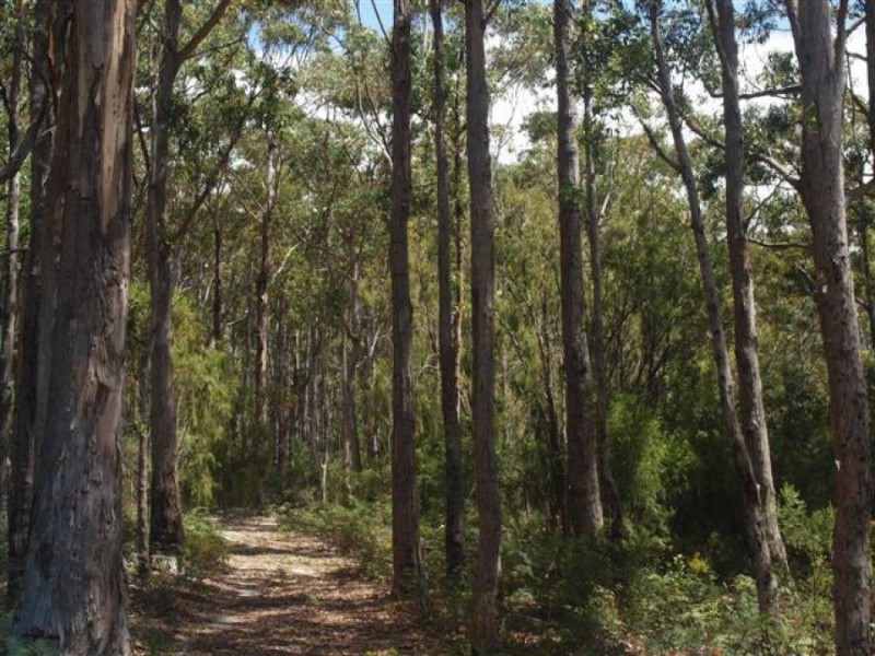 Lot 3/328 Blowhole Road, Eaglehawk Neck TAS 7179