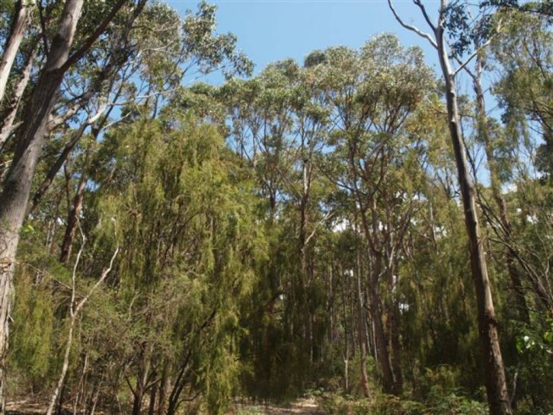 Lot 3/328 Blowhole Road, Eaglehawk Neck TAS 7179