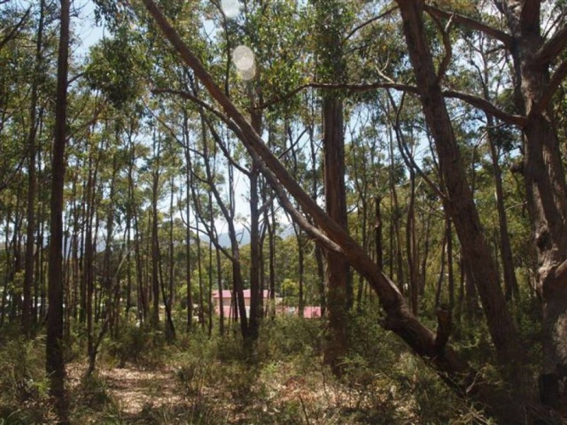 Lot 3/328 Blowhole Road, Eaglehawk Neck TAS 7179