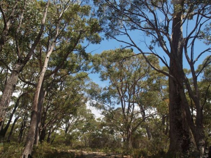 Lot 3/328 Blowhole Road, Eaglehawk Neck TAS 7179