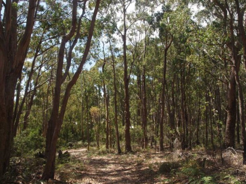 Lot 3/328 Blowhole Road, Eaglehawk Neck TAS 7179