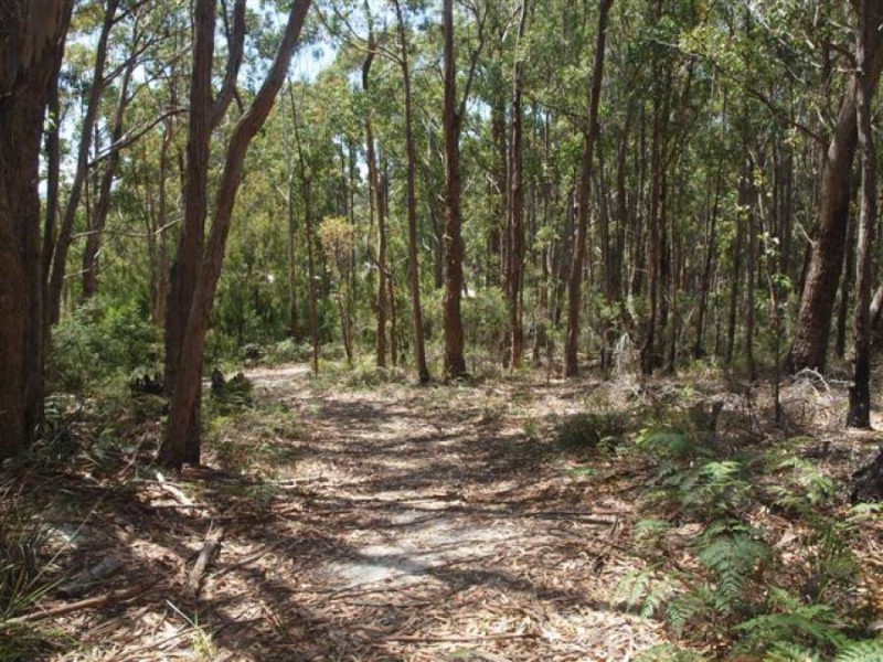 Lot 3/328 Blowhole Road, Eaglehawk Neck TAS 7179