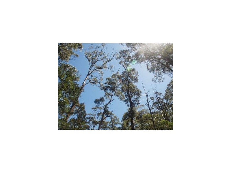 15 Osprey Rd, Eaglehawk Neck TAS 7179