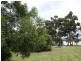 10 Cliffords Rd, Saltwater River TAS 7186