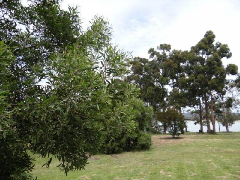 10 Cliffords Rd, Saltwater River TAS 7186