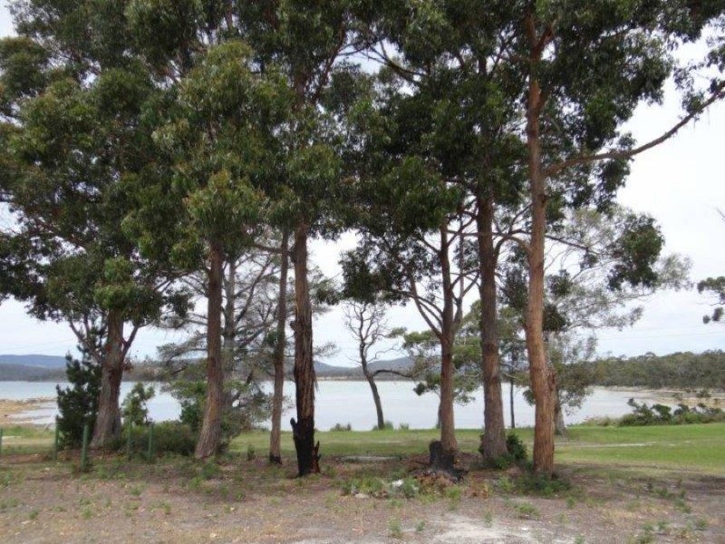 10 Cliffords Rd, Saltwater River TAS 7186