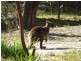 625 Sommers Bay Rd, Murdunna TAS 7178