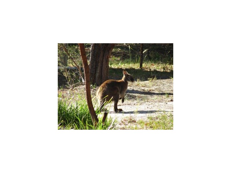 625 Sommers Bay Rd, Murdunna TAS 7178