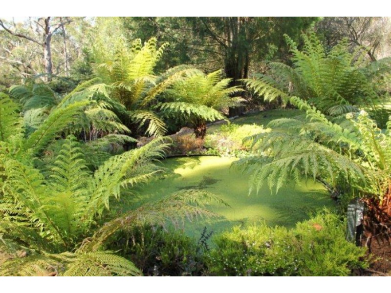 6827b Arthur Highway, Port Arthur TAS 7182