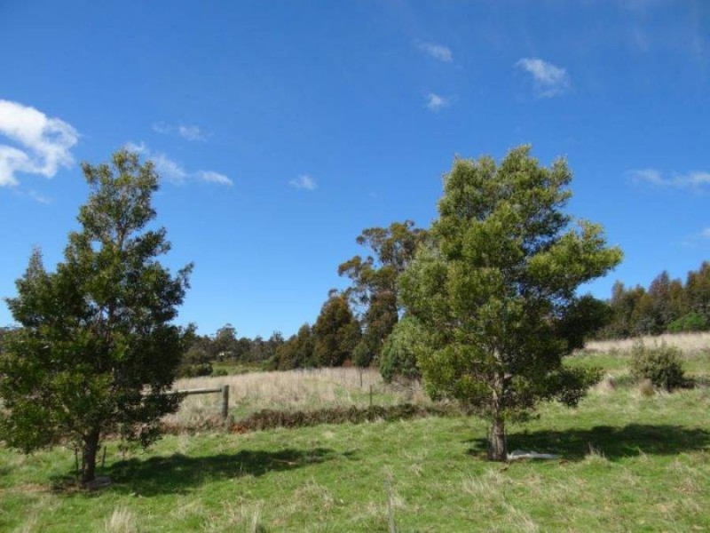 Lot 1b Bream Creek Rd, Bream Creek TAS 7175