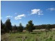 Lot 1b Bream Creek Rd, Bream Creek TAS 7175