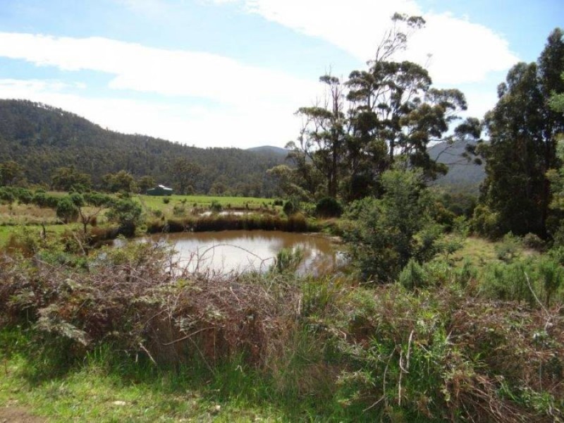 Lot 1b Bream Creek Rd, Bream Creek TAS 7175