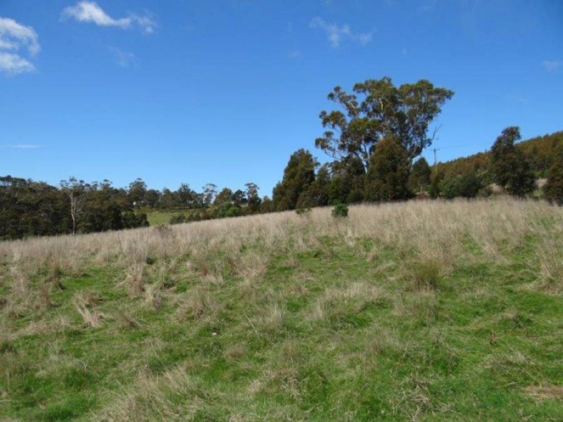 Lot 1b Bream Creek Rd, Bream Creek TAS 7175
