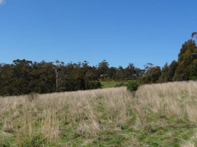 Lot 1b Bream Creek Rd, Bream Creek TAS 7175