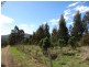 Lot 1b Bream Creek Rd, Bream Creek TAS 7175