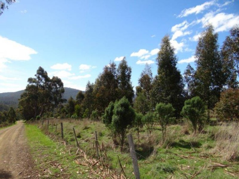 Lot 1b Bream Creek Rd, Bream Creek TAS 7175